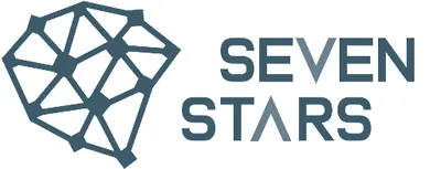 Seven Stars Usługi Informatyczne